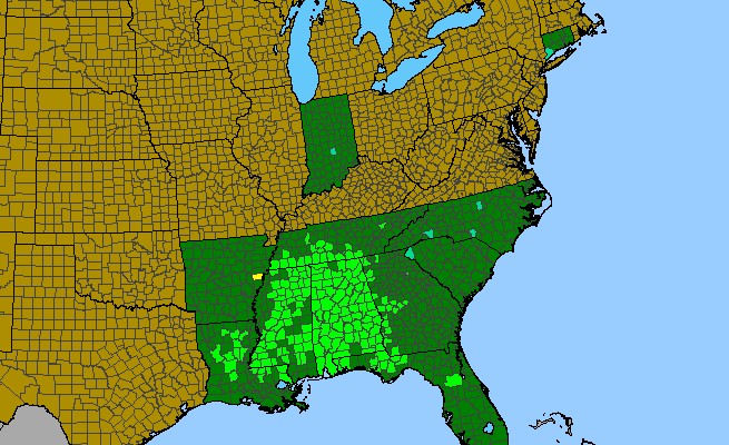 The range of Hydrangea quercifolia